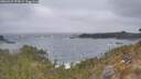 ./images/calvert/foggy-cove/20260427/foggy-cove20260427_074501M.jpg