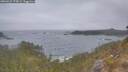 ./images/calvert/foggy-cove/20260427/foggy-cove20260427_075001M.jpg