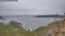 ./images/calvert/foggy-cove/20260427/foggy-cove20260427_075502M.jpg