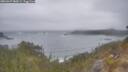 ./images/calvert/foggy-cove/20260427/foggy-cove20260427_080501M.jpg