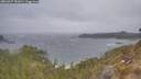 ./images/calvert/foggy-cove/20260427/foggy-cove20260427_081001M.jpg