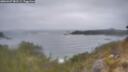 ./images/calvert/foggy-cove/20260427/foggy-cove20260427_081501M.jpg