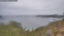 ./images/calvert/foggy-cove/20260427/foggy-cove20260427_082501M.jpg