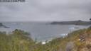 ./images/calvert/foggy-cove/20260427/foggy-cove20260427_083001M.jpg
