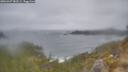 ./images/calvert/foggy-cove/20260427/foggy-cove20260427_083501M.jpg