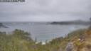 ./images/calvert/foggy-cove/20260427/foggy-cove20260427_084001M.jpg