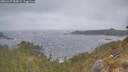 ./images/calvert/foggy-cove/20260427/foggy-cove20260427_084501M.jpg