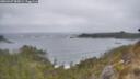 ./images/calvert/foggy-cove/20260427/foggy-cove20260427_085001M.jpg