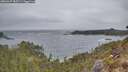 ./images/calvert/foggy-cove/20260427/foggy-cove20260427_085501M.jpg