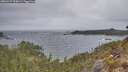 ./images/calvert/foggy-cove/20260427/foggy-cove20260427_090001M.jpg