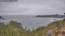 ./images/calvert/foggy-cove/20260427/foggy-cove20260427_090501M.jpg