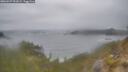 ./images/calvert/foggy-cove/20260427/foggy-cove20260427_091001M.jpg