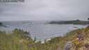 ./images/calvert/foggy-cove/20260427/foggy-cove20260427_091501M.jpg