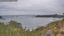 ./images/calvert/foggy-cove/20260427/foggy-cove20260427_092001M.jpg
