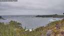 ./images/calvert/foggy-cove/20260427/foggy-cove20260427_092501M.jpg