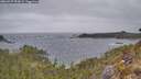 ./images/calvert/foggy-cove/20260427/foggy-cove20260427_093001M.jpg