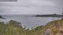 ./images/calvert/foggy-cove/20260427/foggy-cove20260427_093501M.jpg