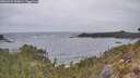 ./images/calvert/foggy-cove/20260427/foggy-cove20260427_094001M.jpg