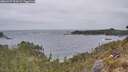 ./images/calvert/foggy-cove/20260427/foggy-cove20260427_094502M.jpg