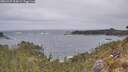 ./images/calvert/foggy-cove/20260427/foggy-cove20260427_095001M.jpg