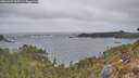 ./images/calvert/foggy-cove/20260427/foggy-cove20260427_095501M.jpg