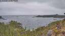 ./images/calvert/foggy-cove/20260427/foggy-cove20260427_100001M.jpg