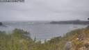 ./images/calvert/foggy-cove/20260427/foggy-cove20260427_100501M.jpg