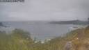./images/calvert/foggy-cove/20260427/foggy-cove20260427_101001M.jpg