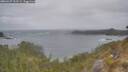 ./images/calvert/foggy-cove/20260427/foggy-cove20260427_101501M.jpg