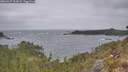 ./images/calvert/foggy-cove/20260427/foggy-cove20260427_102001M.jpg