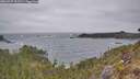 ./images/calvert/foggy-cove/20260427/foggy-cove20260427_102501M.jpg