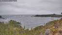 ./images/calvert/foggy-cove/20260427/foggy-cove20260427_103001M.jpg