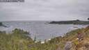 ./images/calvert/foggy-cove/20260427/foggy-cove20260427_103501M.jpg