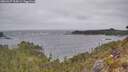 ./images/calvert/foggy-cove/20260427/foggy-cove20260427_104501M.jpg