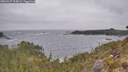 ./images/calvert/foggy-cove/20260427/foggy-cove20260427_105001M.jpg