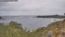 ./images/calvert/foggy-cove/20260427/foggy-cove20260427_105502M.jpg