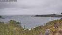 ./images/calvert/foggy-cove/20260427/foggy-cove20260427_110001M.jpg