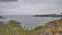 ./images/calvert/foggy-cove/20260427/foggy-cove20260427_110501M.jpg