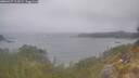 ./images/calvert/foggy-cove/20260427/foggy-cove20260427_111001M.jpg