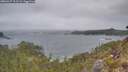 ./images/calvert/foggy-cove/20260427/foggy-cove20260427_111501M.jpg