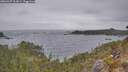 ./images/calvert/foggy-cove/20260427/foggy-cove20260427_112001M.jpg
