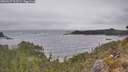 ./images/calvert/foggy-cove/20260427/foggy-cove20260427_112501M.jpg