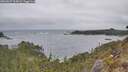 ./images/calvert/foggy-cove/20260427/foggy-cove20260427_113001M.jpg