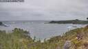 ./images/calvert/foggy-cove/20260427/foggy-cove20260427_113501M.jpg