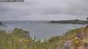./images/calvert/foggy-cove/20260427/foggy-cove20260427_114001M.jpg