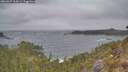 ./images/calvert/foggy-cove/20260427/foggy-cove20260427_114501M.jpg