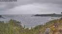 ./images/calvert/foggy-cove/20260427/foggy-cove20260427_115002M.jpg