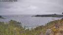 ./images/calvert/foggy-cove/20260427/foggy-cove20260427_115501M.jpg