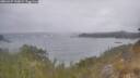 ./images/calvert/foggy-cove/20260427/foggy-cove20260427_120001M.jpg