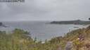 ./images/calvert/foggy-cove/20260427/foggy-cove20260427_121001M.jpg